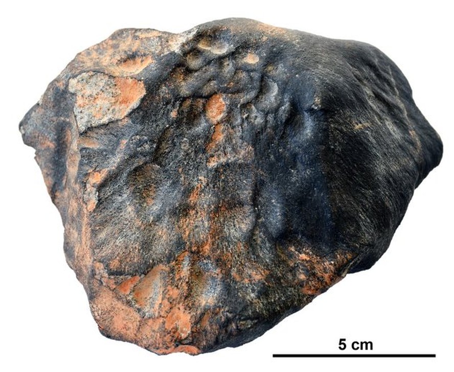O meteorito de 2,8 kg achado em Santa Filomena (PE) em 2020
