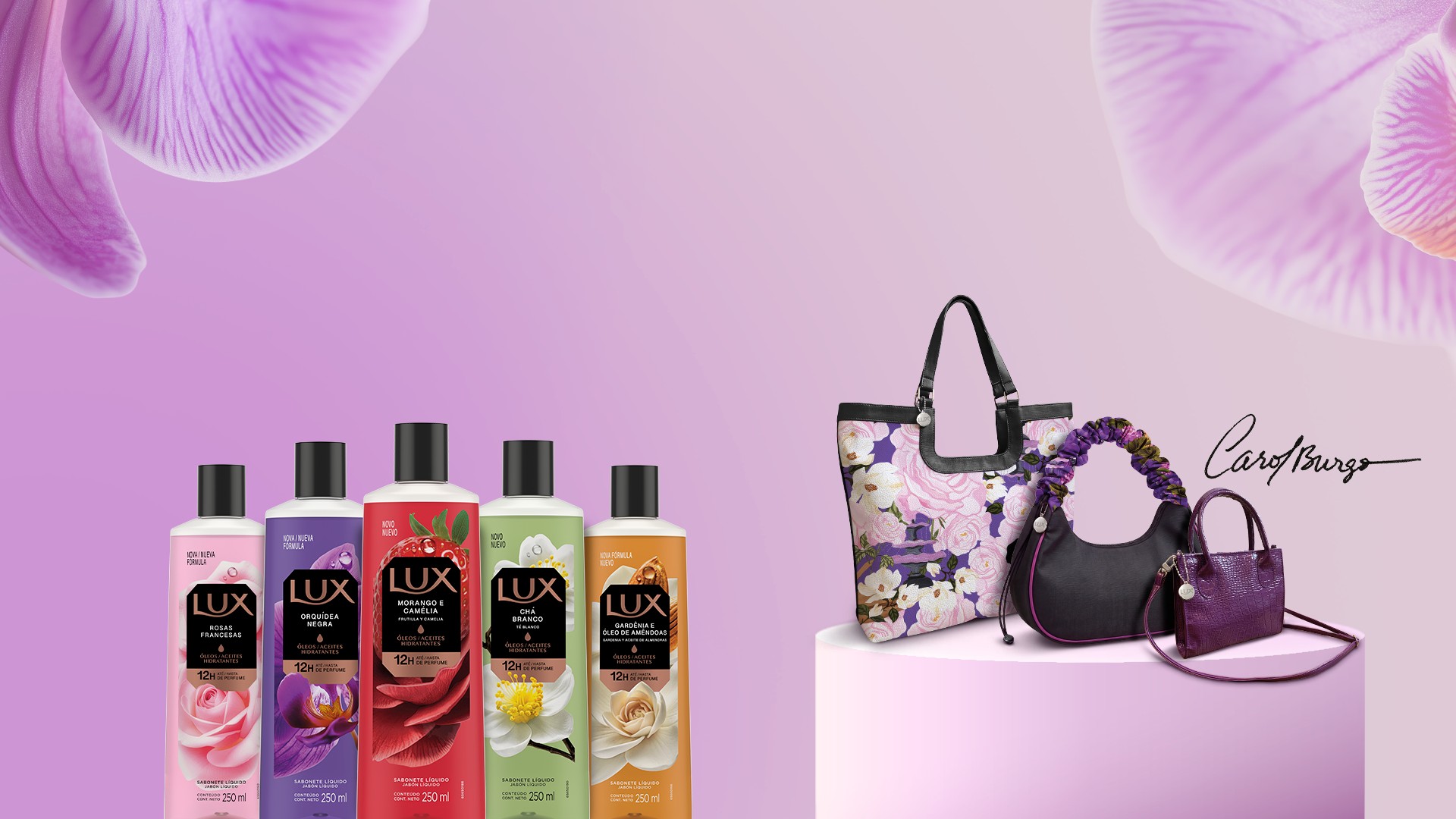 LUX lança promoção com bolsas de Carol Burgo e R$ 200 mil