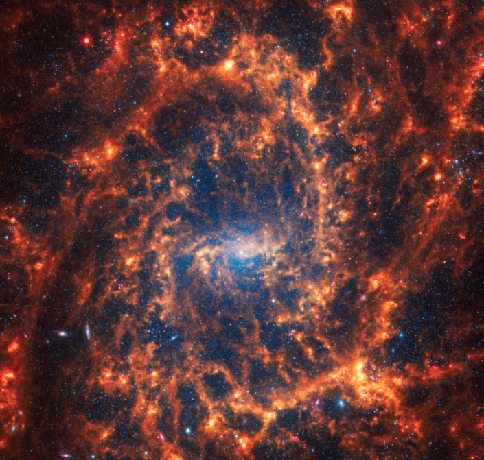 Spiral galaxy NGC 2835 — Photo: NASA