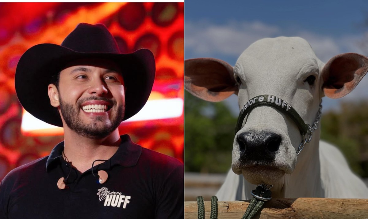 Murilo Huff se torna um dos donos da vaca mais cara do mundo, arrematada  por R$ 54 milhões