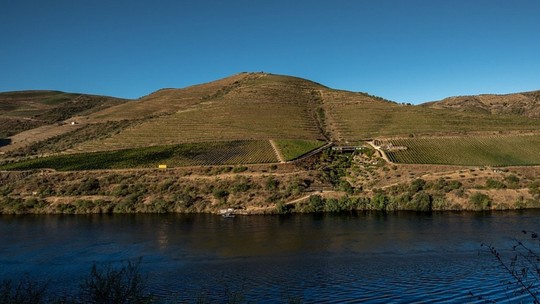 Portuguesa Quinta do Vallado reúne história e vinhos inovadores do Douro; conheça rótulos da vinícola