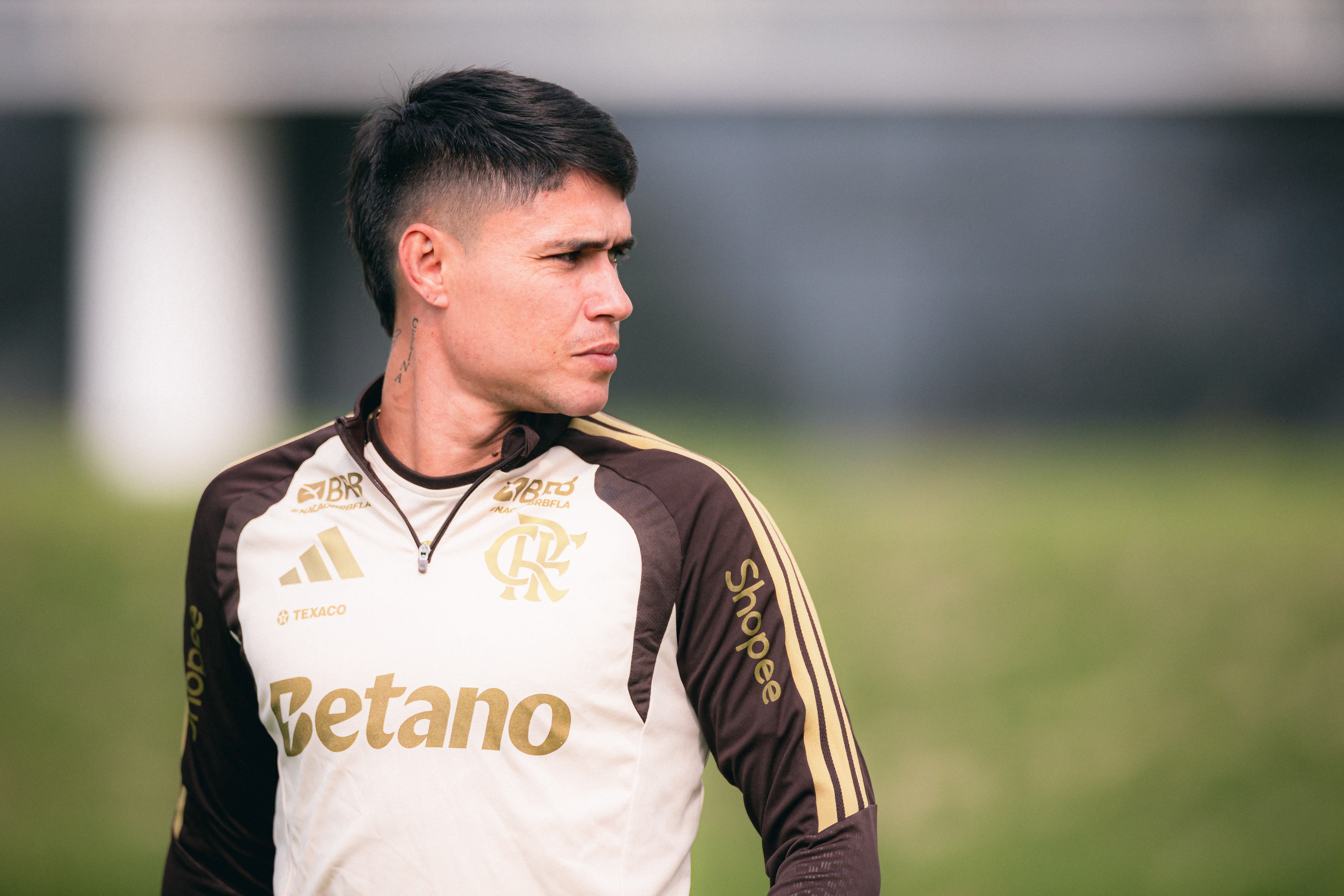 Luiz Araújo discute e xinga torcedor do Flamengo em live: 