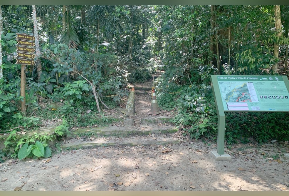 Homem de 60 anos morre ao cair de trilha no Parque Nacional da Tijuca — Foto: Reprodução