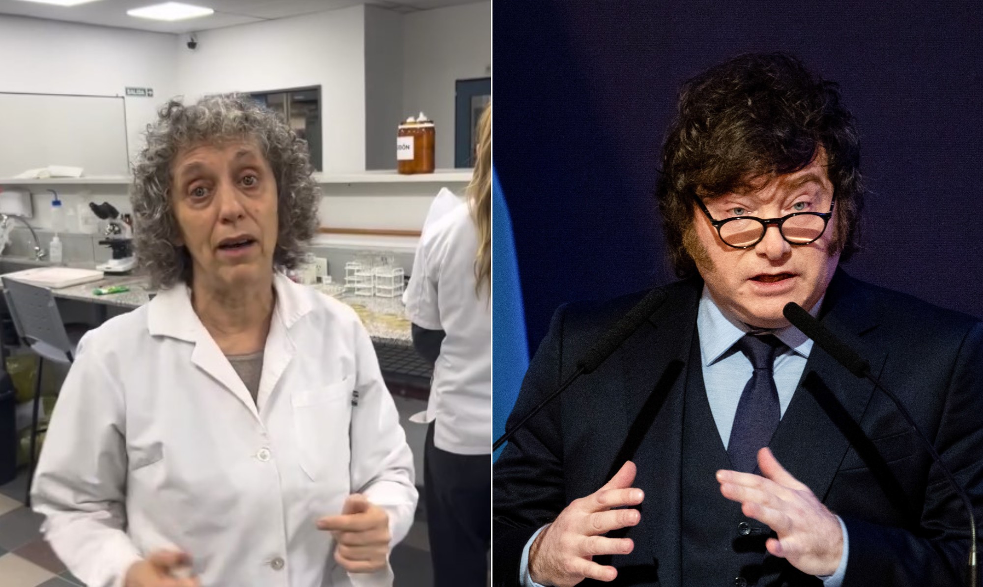 Quem é Celia Melamed, a veterinária médium que 'conversa' com cachorro morto de Javier Milei
