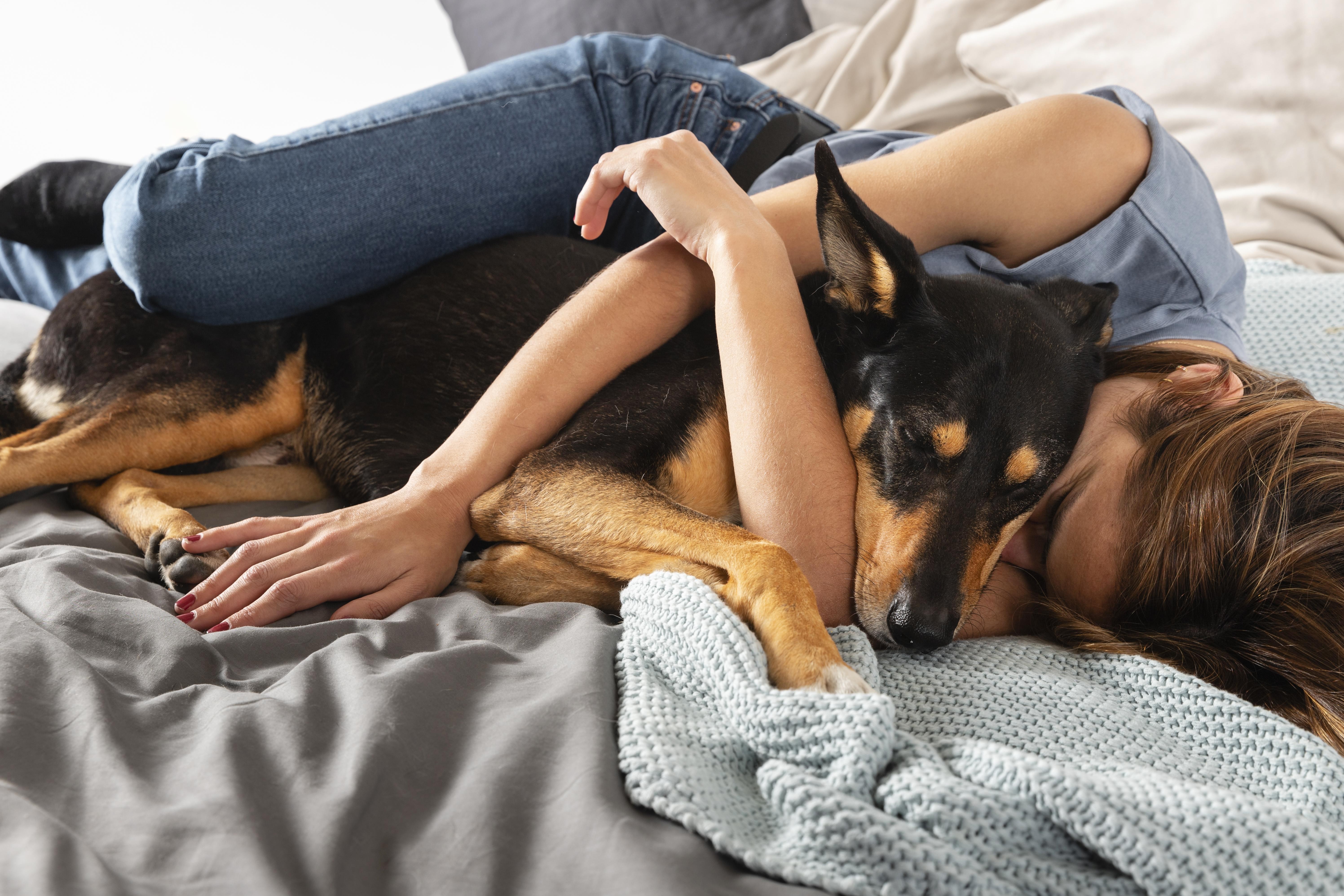 'O cachorro é o melhor amigo do homem'? Estudo mostra que cães ouvem melhor vozes femininas; entenda