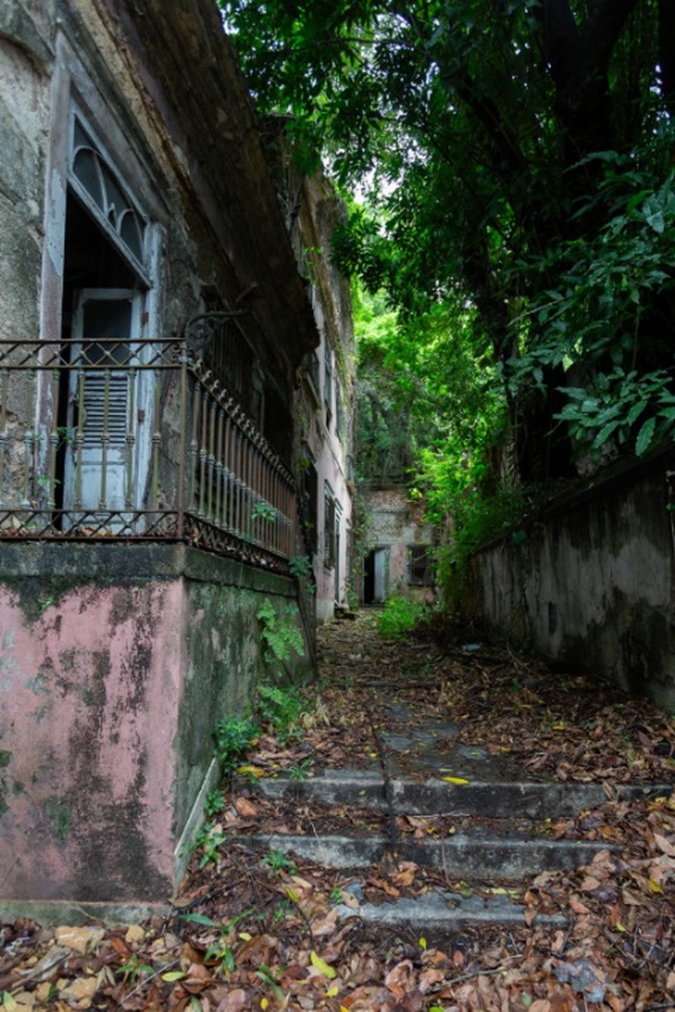 Solar dos Abacaxis, no Cosme Velho, já foi palacete e virou lenda entre vizinhos devido à má-conservação — Foto: Júlia Aguiar / Agência O Globo