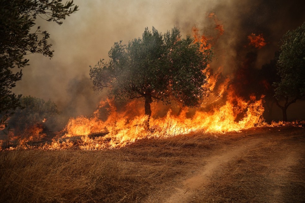 Esta foto mostra um incêndio florestal queimando árvores na região da Beócia, a oeste de Atenas, em 2 de agosto de 2026 — Foto: ARIS OIKONOMOU / AFP