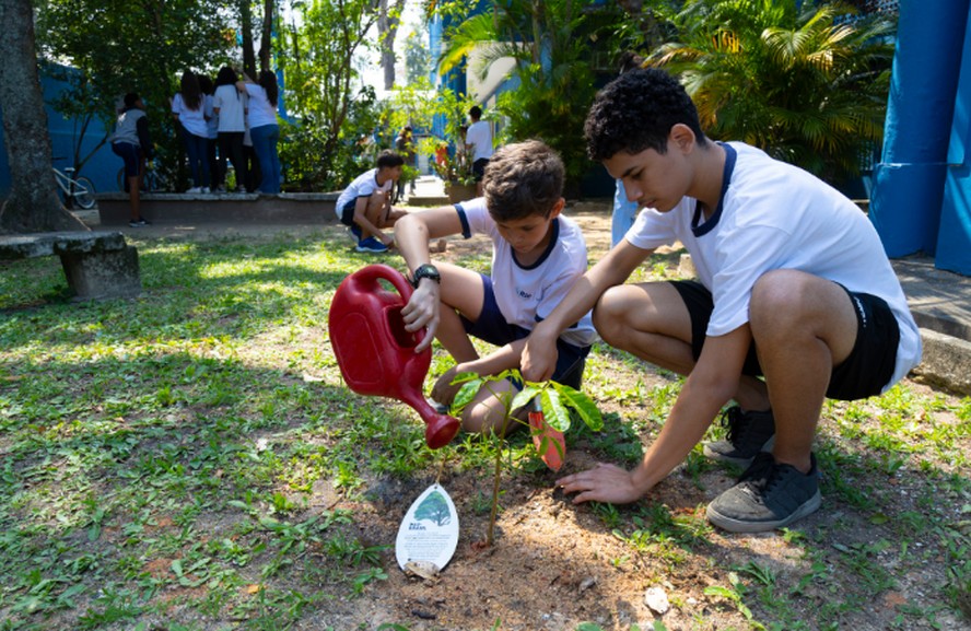 COP 30 impulsiona aulas e projetos de meio ambiente nas escolas do Brasil