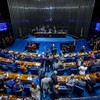 Plenário do Senado Federal - Brenno Carvalho / Agência O Globo