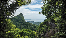 Estado do Rio perde menos verde, mas Mata Atlântica ainda é desmatada ilegalmente