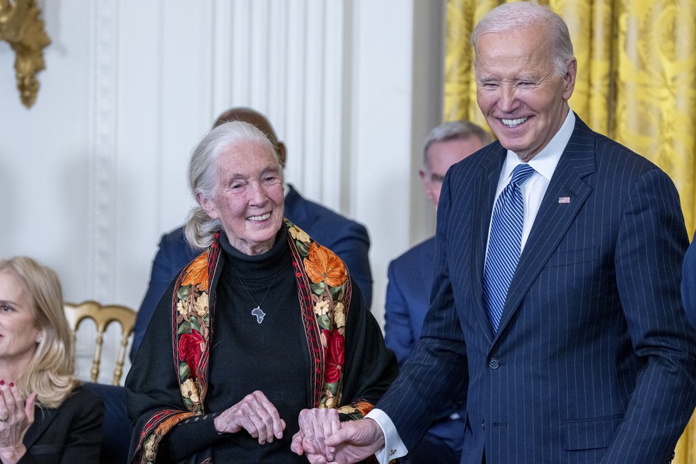Ela fundou o Instituto Jane Goodall, que se tornou uma das maiores organizações globais sem fins lucrativos de pesquisa e conservação do mundo — Foto: The New York Times