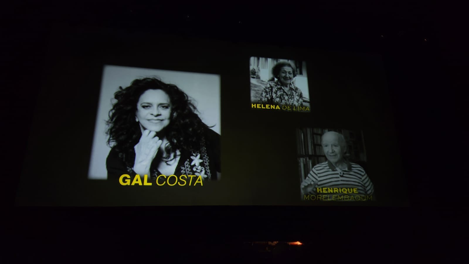 Homenagem póstuma a Gal Costa no Prêmio da Música Brasileira — Foto: Lucas Tavares