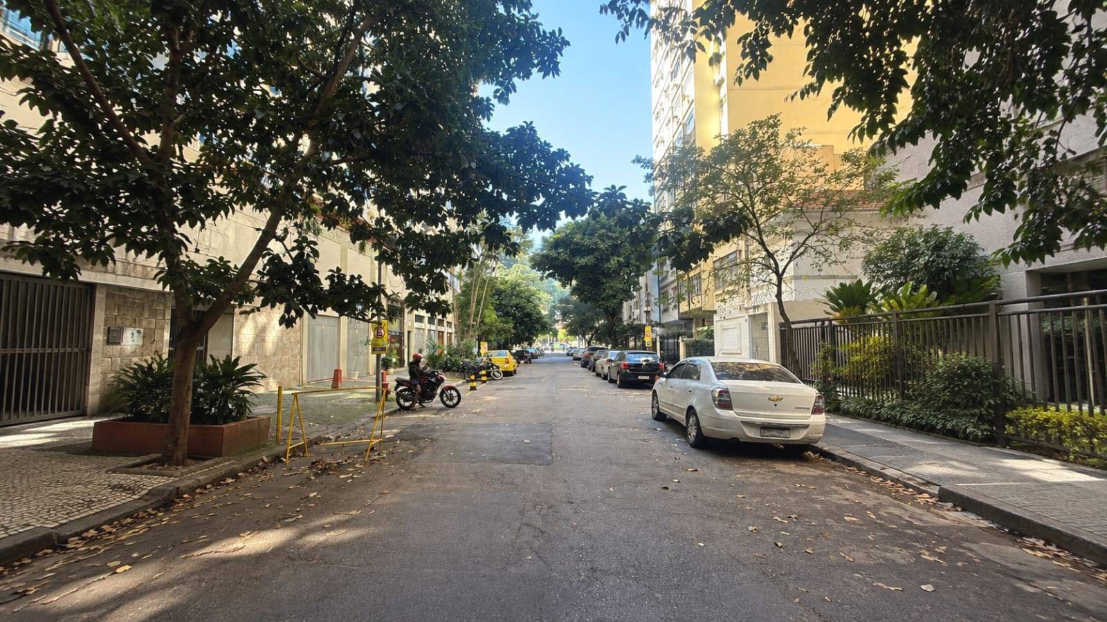 Poda, iluminação, manutenção de calçadas: rua de Copacabana recebe operação com serviços integrados