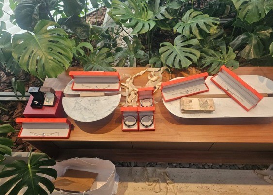 Itens de luxo apreendidos pela PF durante operação que prendeu dono do Banco Master — Foto: Divulgação/PF