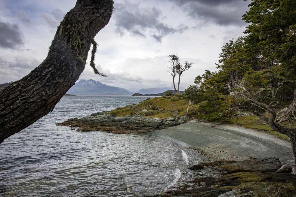 Uma praia no Parque Nacional da Terra do Fogo, em Ushuaia, a cidade mais austral do mundo, no extremo sul da Argentina — Foto: Victor Moriyama/The New York Times