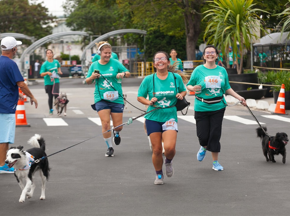 Pet Run chega à décima edição em São Paulo: arena com ativações para cachorros e seus tutores; na foto, participantes da edição de 2024 — Foto: Divulgação