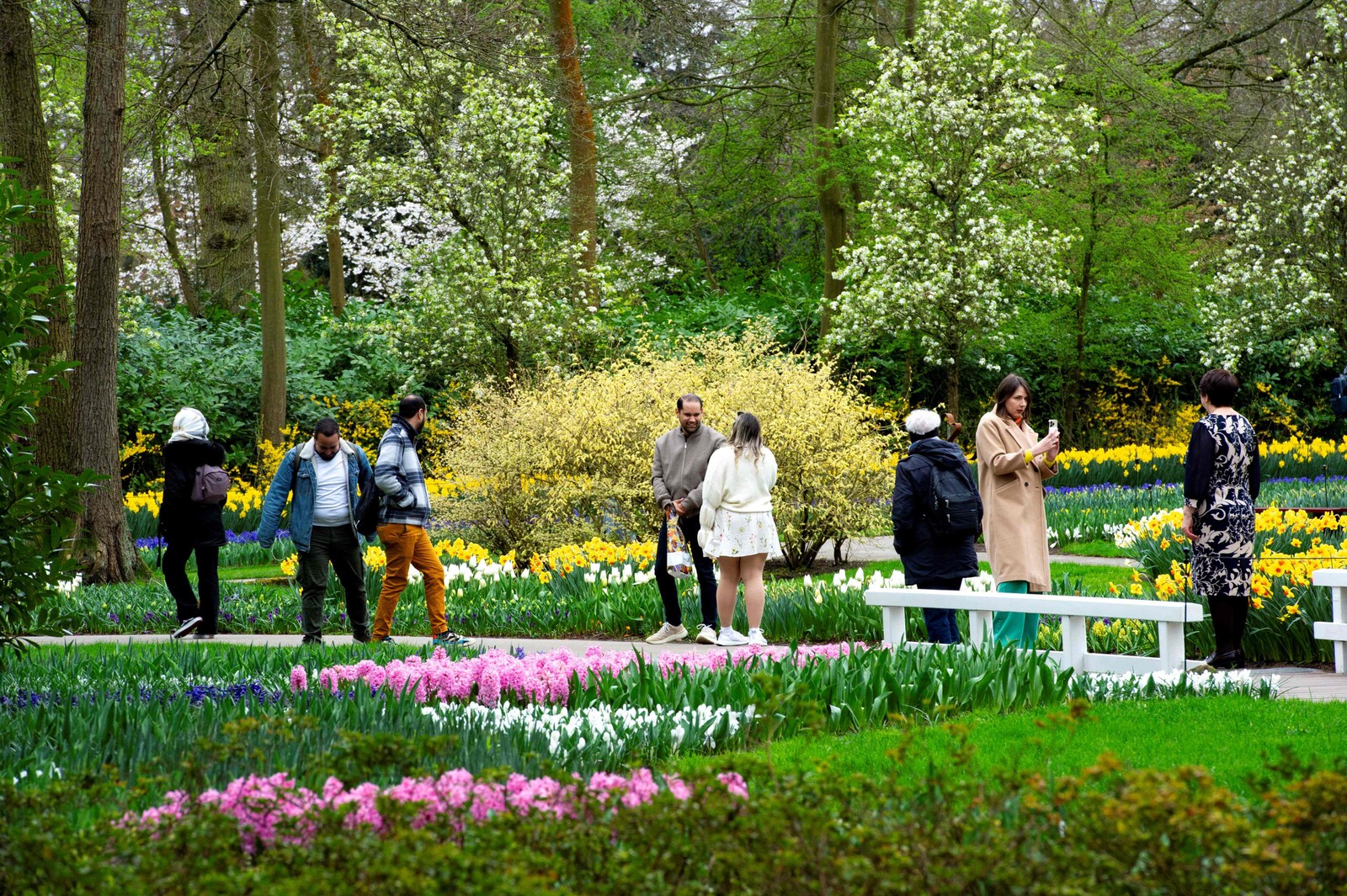 Visitors stroll through the gardens of Keukenhof Gardens in Lisse, near Amsterdam, Netherlands — Photo: Nick Gammon/AFP
