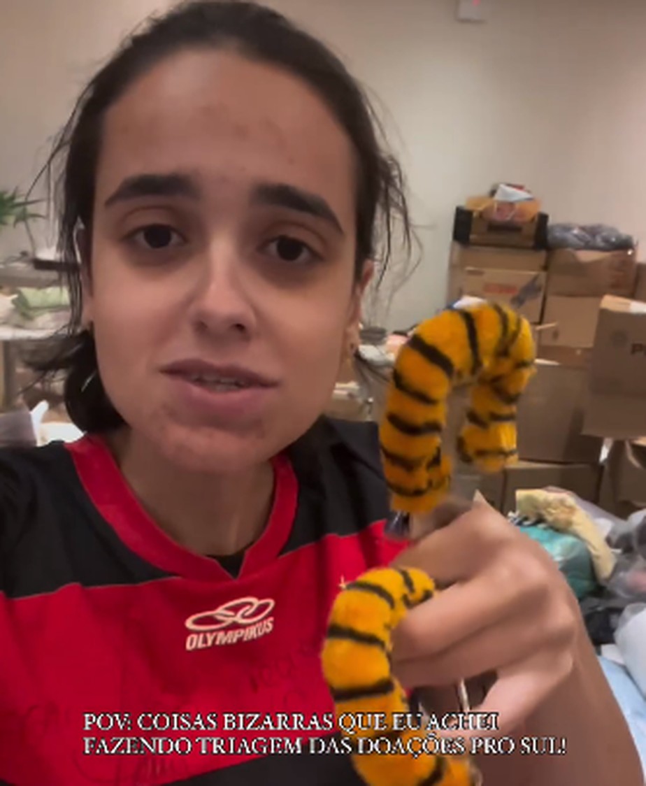 Algema de sex shop, fantasia de presidiário e até árvore de natal:  voluntária mostra bizarrices doadas para o RS