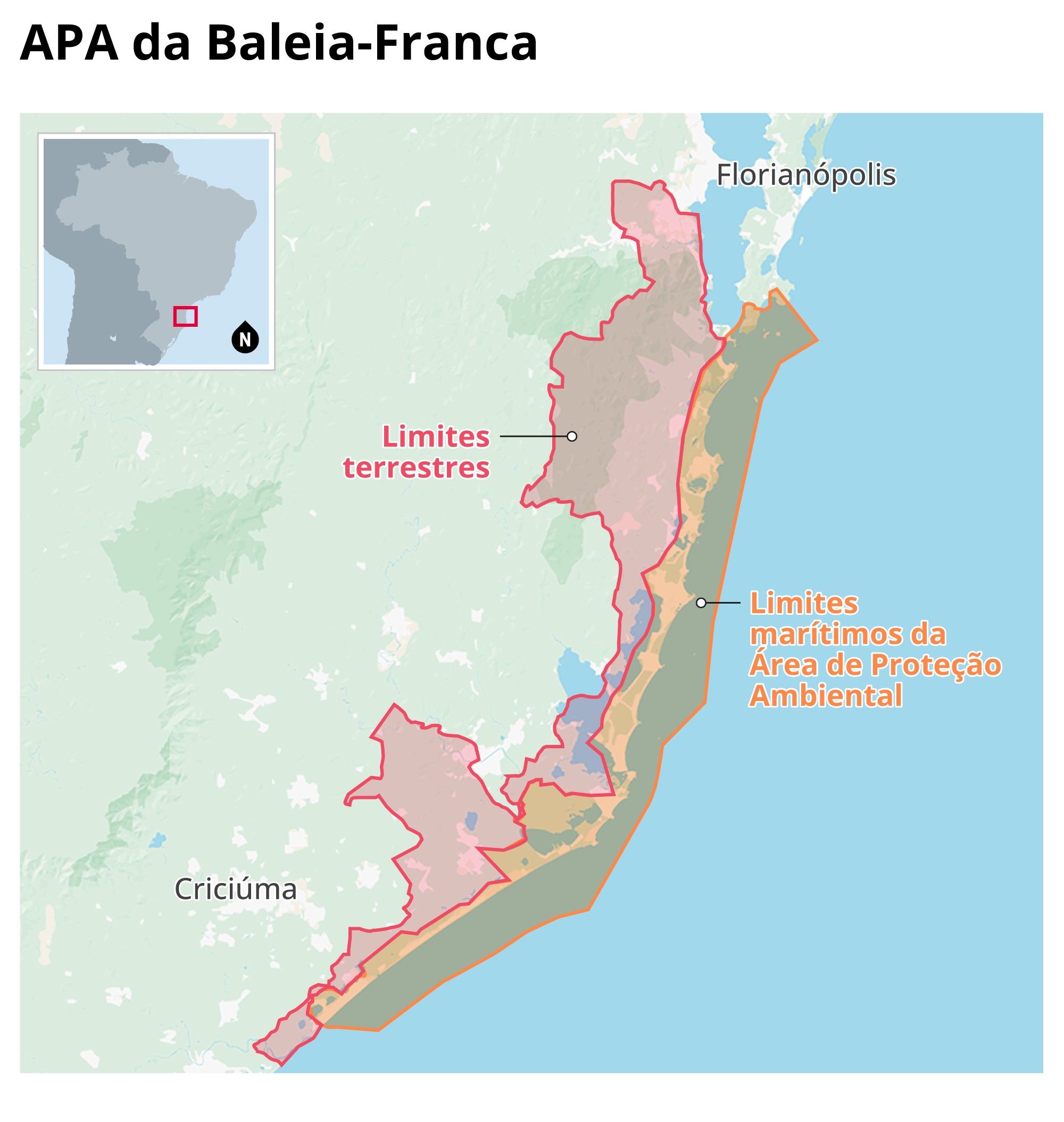 Projeto que reduz área de proteção da baleia-franca tem urgência aprovada pela Câmara e preocupa ambientalistas; entenda