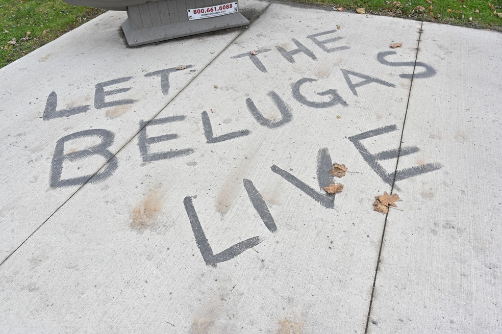 Graffiti on the sidewalk in front of the now-closed Marineland amusement park says: 