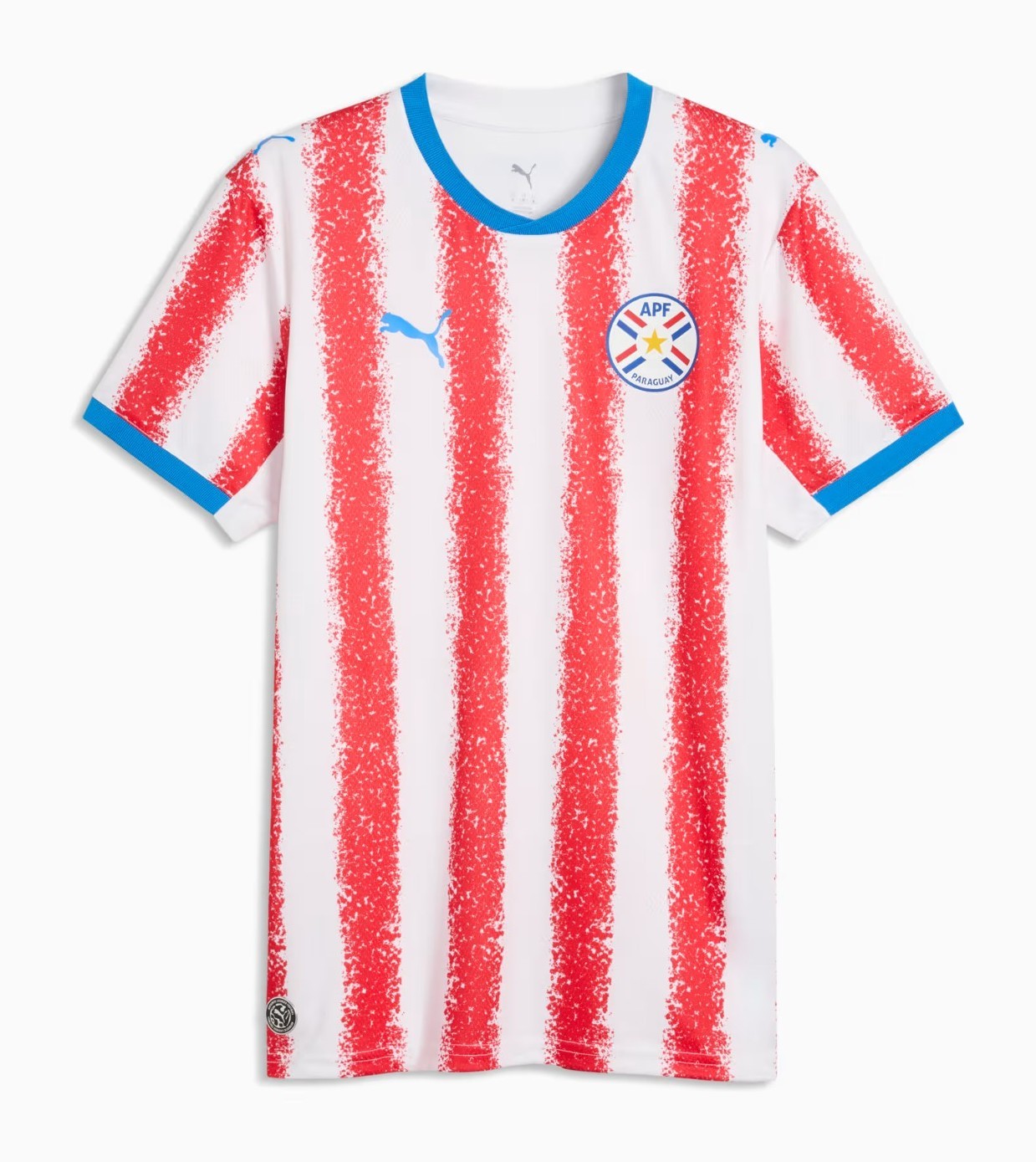 Camisa 1 do Paraguai — Foto: Reprodução