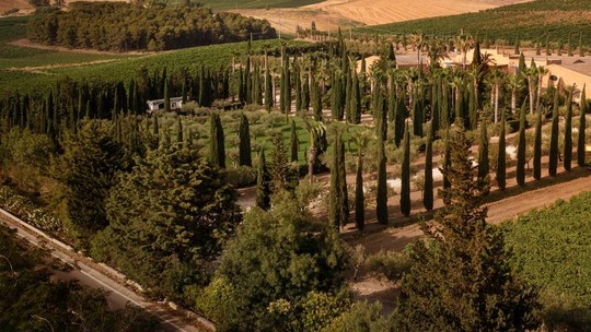 Vinhos Donnafugata trazem cores, sabores e aromas da Sicília, incluindo o terroir do Monte Etna