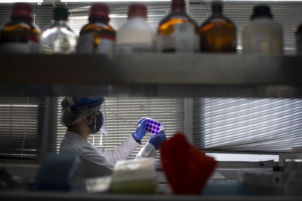 Laboratório de Virologia Molecular do Instituto de Biologia se destaca na testatagem e nas pesquisas do Sars Cov-2 — Foto: Márcia Foletto