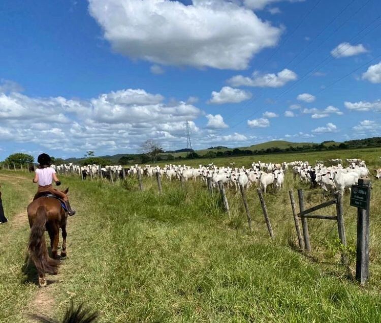 Imagem da Fazenda Três Montes, em Casimiro de Abreu — Foto: Reprodução/Instagram