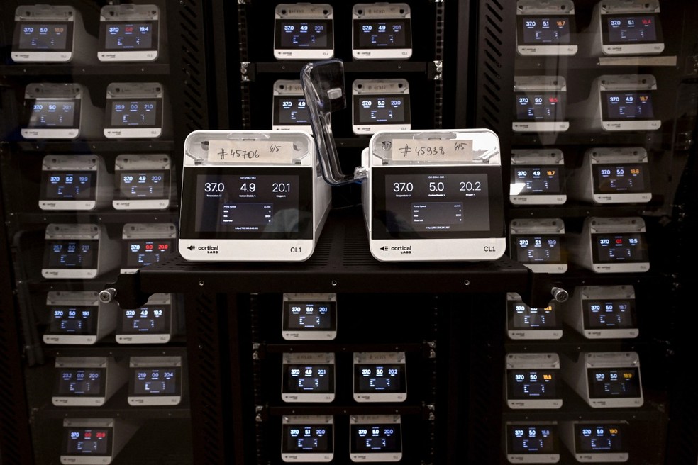 Nesta foto tirada em 5 de maio de 2026, unidades CL1 contendo c&eacute;lulas corticais e do hipocampo em uma placa de cultura celular est&atilde;o instaladas em servidores, onde ficam dispon&iacute;veis para estudo via internet, no laborat&oacute;rio de N&iacute;vel 2 de Conten&ccedil;&atilde;o F&iacute;sica (PC2) da Cortical Labs, em Melbourne. &mdash; Foto: AFP