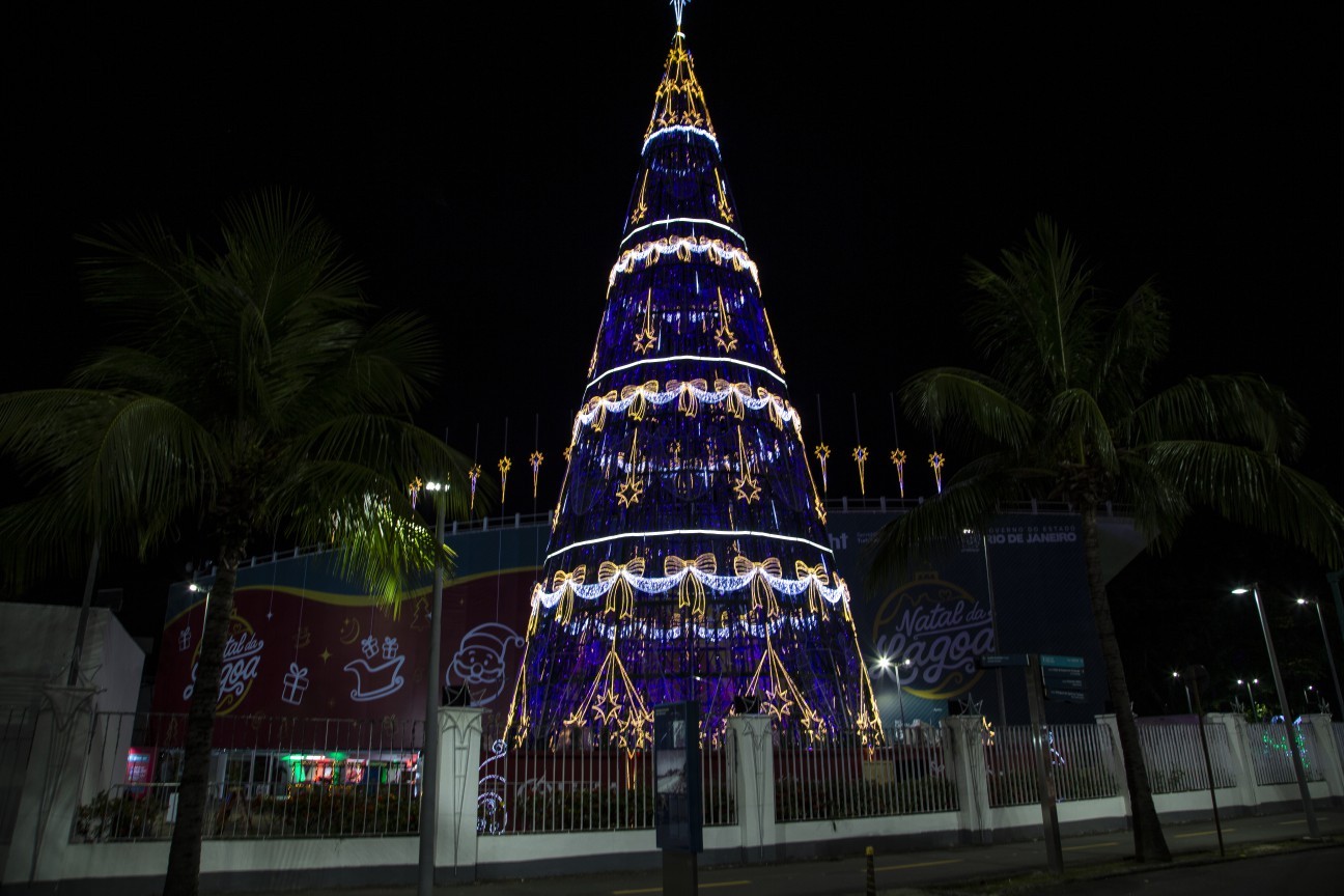 Rodrigo de Freitas Lake Tree – Photo: Alexandre Cassiano