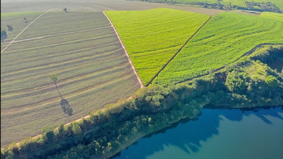 Plataforma vai mostrar quanto do crédito rural é aplicado em propriedades em conformidade com a legislação ambiental. Na foto: talhões produtivos e área de APP no estado de São Paulo — Foto: Paulo Molin