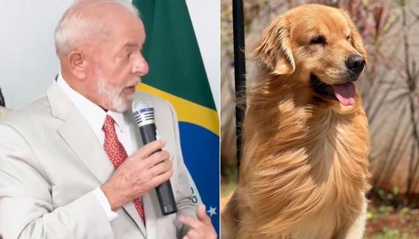 Lula cobra por morte de Joca em voo, e homenagea cão com gravata