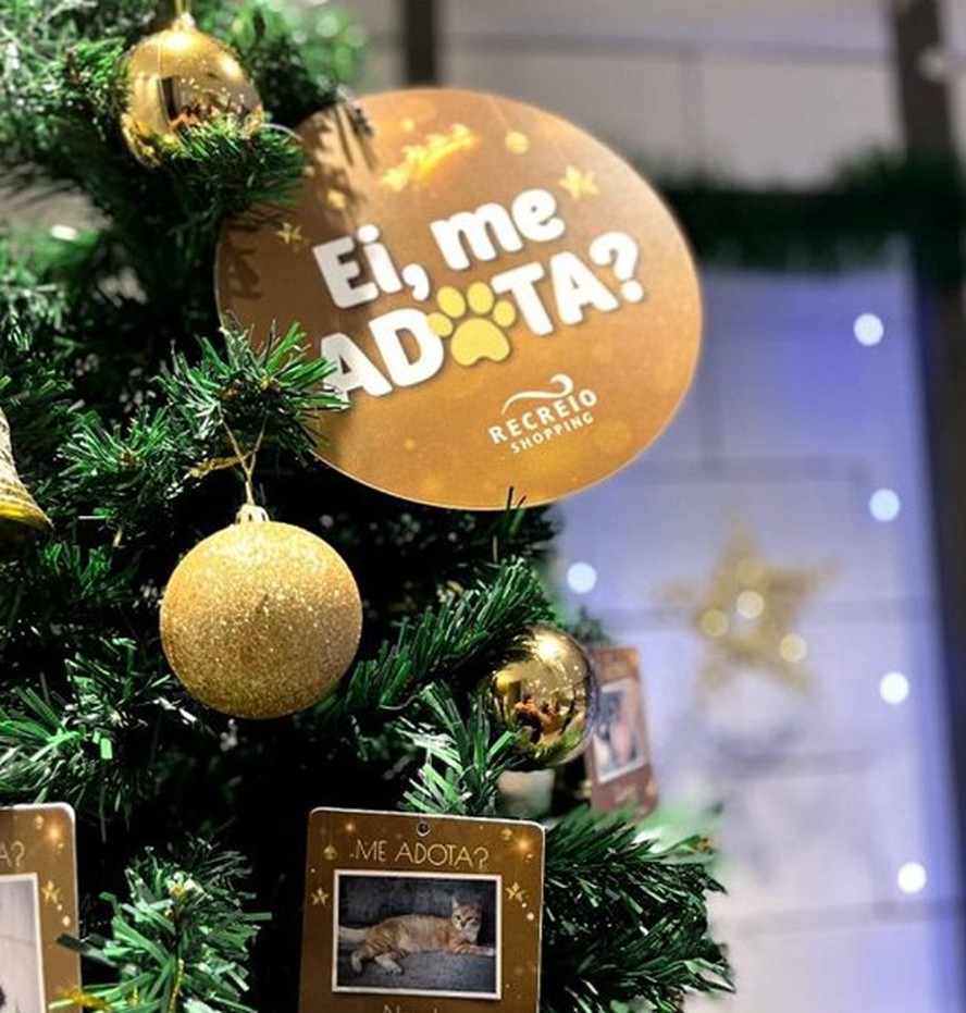 Golden Shopping inicia a sua campanha de Natal - O Informante