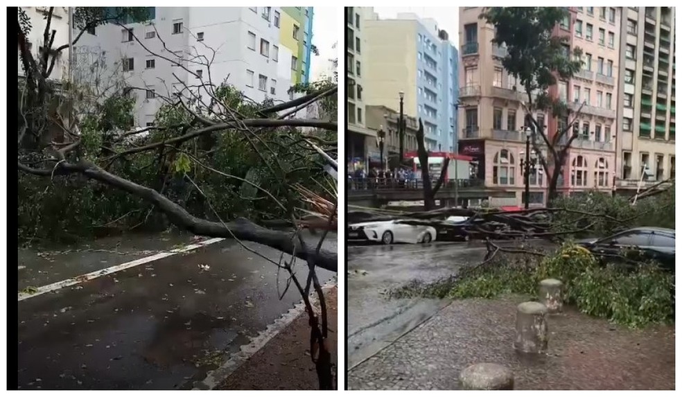 Queda de árvores na Avenida Nove de Julho, à esquerda, e no entorno da prefeitura de São Paulo, à direita: estragos do temporal de setembro — Foto: Reprodução