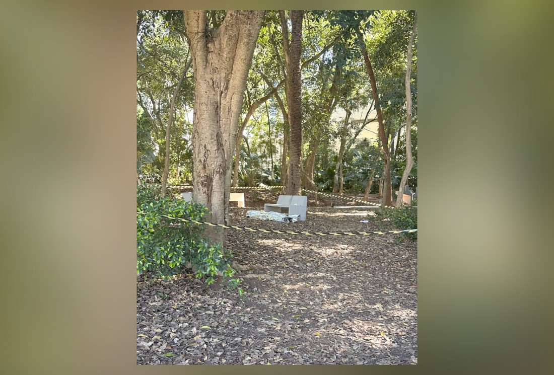Corpo Encontrado em Parque de SP Causa Fechamento e Polêmica