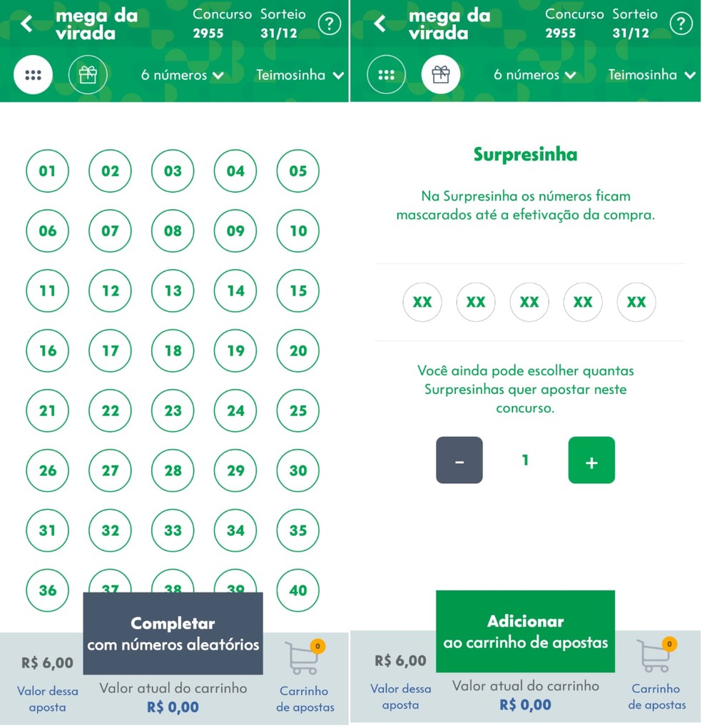 Volante virtual da Mega da Virada 2025 pelo app Loterias Caixa — Foto: Reprodução: Caixa Econômica Federal