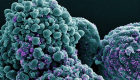 Conheça a nova variante da Covid, já detectada em 23 países