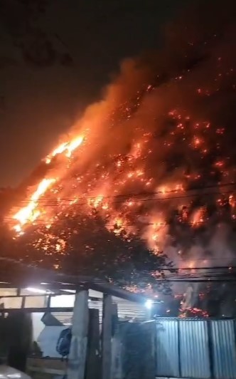 Incêndio em vegetação no Itanhangá já dura mais cinco horas