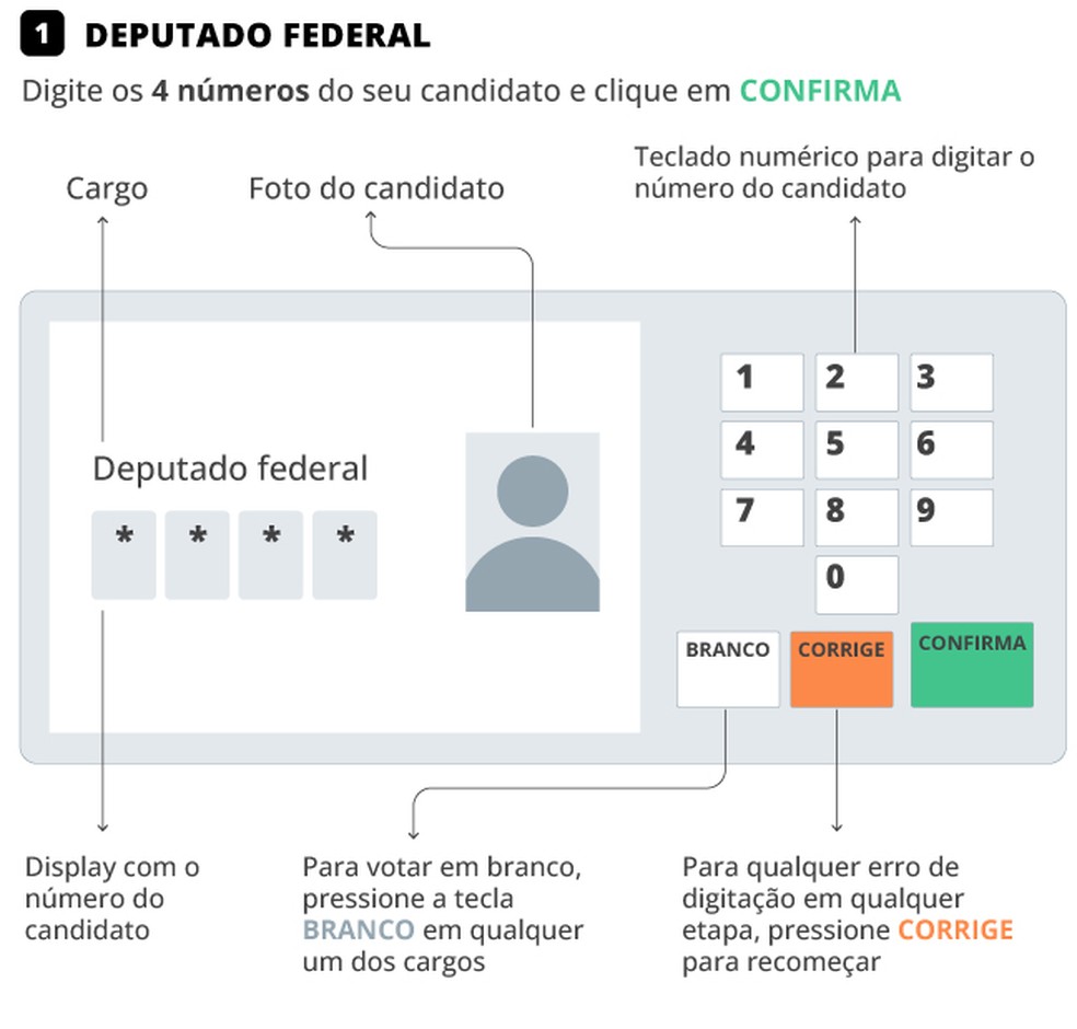 Deputado federal: Digite os 4 números do seu candidato e clique em "Confirma" — Foto: Editoria de Arte