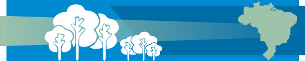 Atlantic Forest — Photo: Editoria de Arte