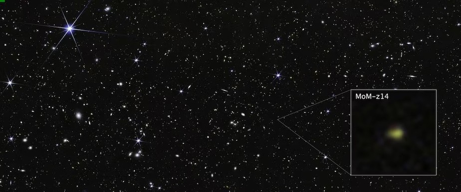 image-2026-01-29t084709.471.png
