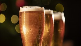 550 milhões de litros: cervejas low carb e zero ganham espaço no mercado brasileiro 
