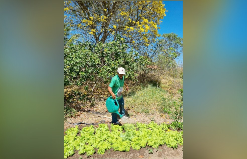 Plataforma terá impacto direto na melhoria das condições de vida de agricultores familiares, comunidades tradicionais e pequenos ocupantes — Foto: Reprodução / Fest