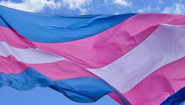 STF forma maioria para 'nortear' ações sobre pensão para filhas trans de militares