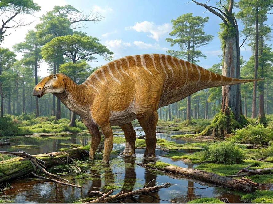 Dinossauro gigante com bico de pato é identificado mais de um século ...
