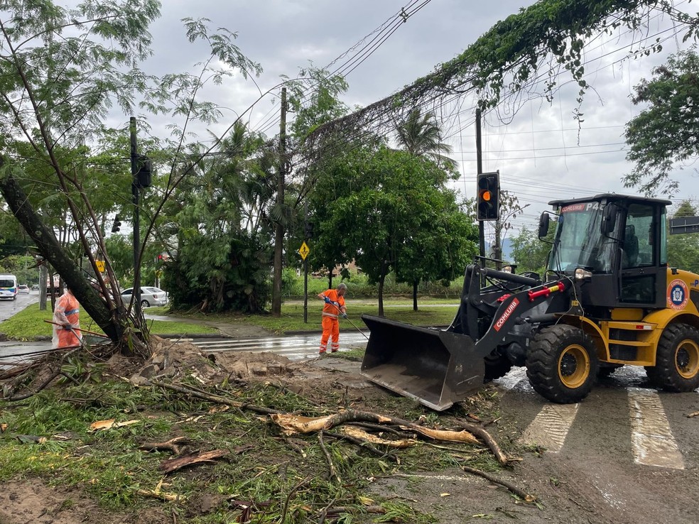 Equipes da Comlurb atuam na retirada de árvore tombada na Av. Olof Palme, na altura da Av. Salvador Allende, próximo ao Riocentro.  Uma faixa da via está ocupada. — Foto: Prefeitura do Rio