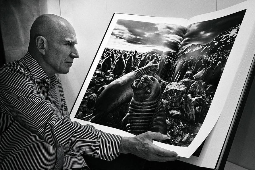 Sebastião Salgado com sua obra Gênesis, lançada em 2013