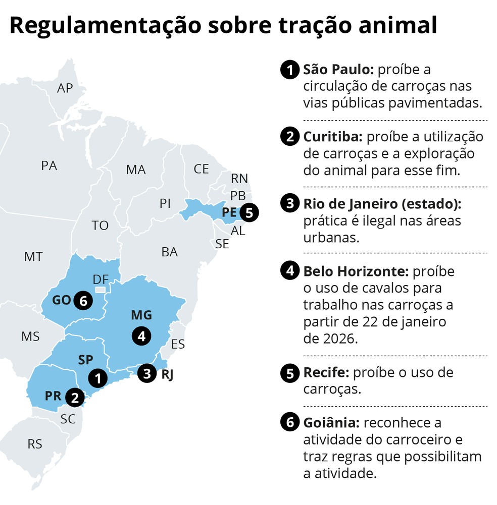 Regulamentação sobre tração animal — Foto: Editoria de Arte
