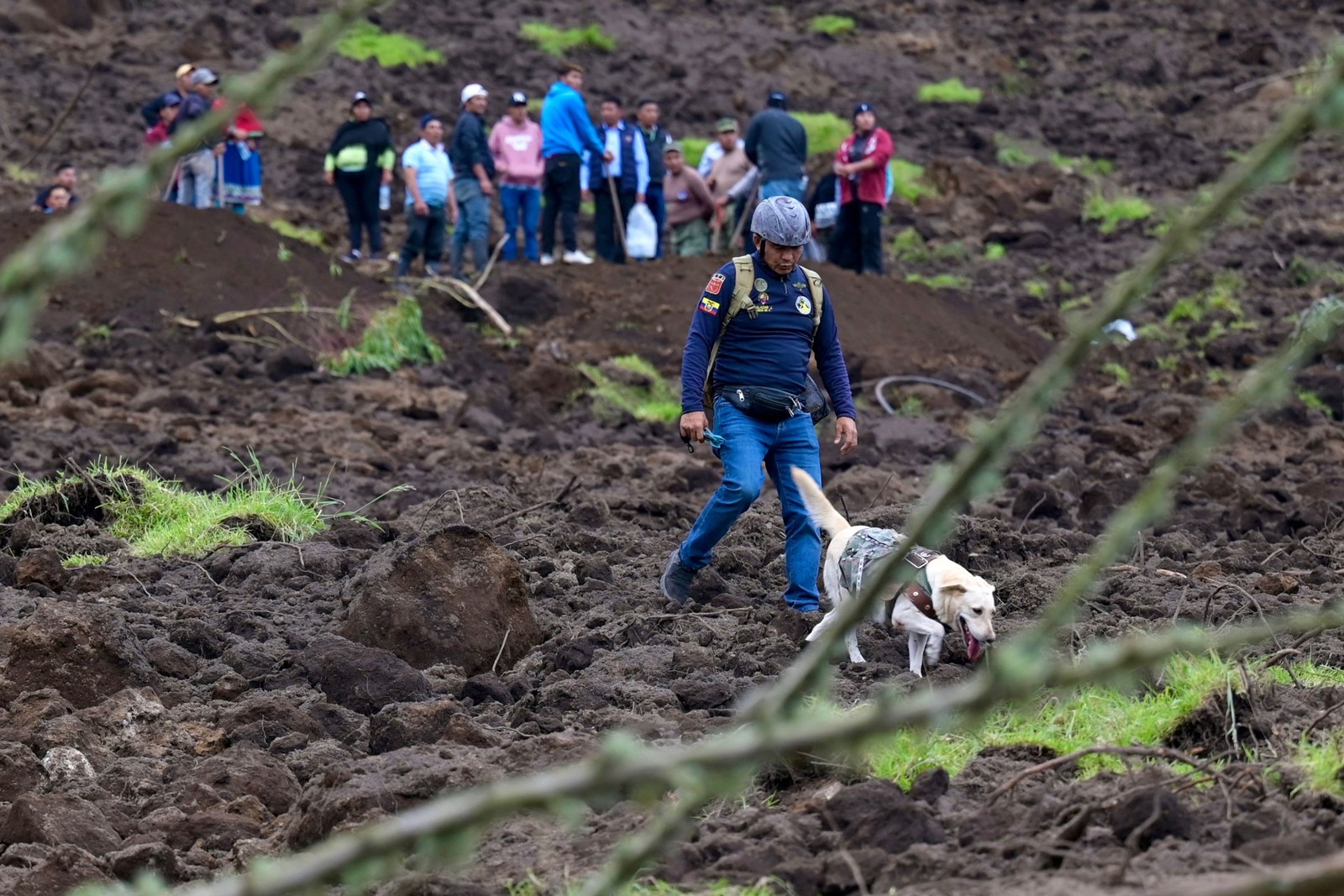 Equipes de resgate usam cães farejadores na busca por vítimas de avalanche no Equador — Foto: Marcos PIN / AFP