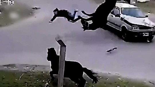 Vídeo: Adolescente rouba cavalo na Argentina, bate em um carro e os dois saem voando
